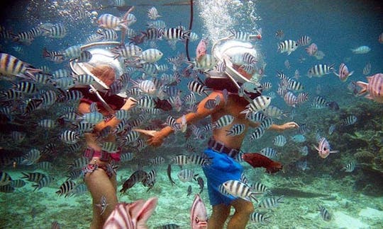 Sea Walking Experience in Quatre Cocos, Mauritius