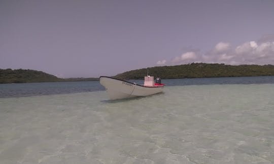 Rent a Boat Tour for 4 Person in Le François, Martinique