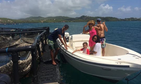 Charter 21' Cobia Center Console in Le Robert, Martinique