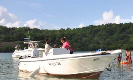 Charter 21' Cobia Center Console in Le Robert, Martinique