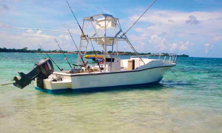 Deep Sea Fishing Charter In Jamaica Getmyboat
