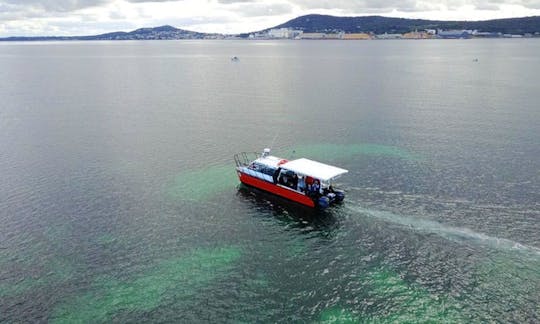 Charter a Power Catamaran in Albany, Australia