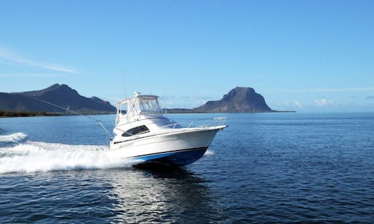 Enjoy Fishing in Flic en Flac, Mauritius on 42' Sport Fisherman