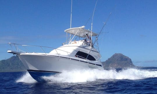 Enjoy Fishing in Flic en Flac, Mauritius on 42' Sport Fisherman