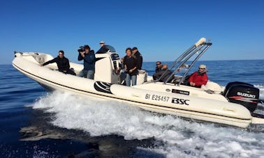 Charter a 2014 model RIB in Trogir, Croatia