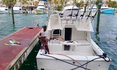 29' Blackfin Offshore Sportfishing Charter In Punta Cana