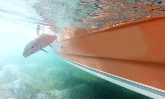 Bonefishing Charter in Center, Anegada, British Virgin Islands