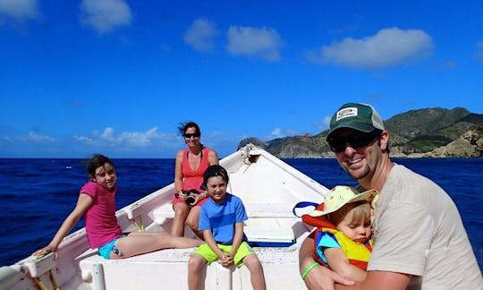 Excursion de snorkeling et de plongée sous-marine au départ de Little Bay, Montserrat