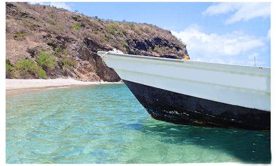 Excursion de snorkeling et de plongée sous-marine au départ de Little Bay, Montserrat