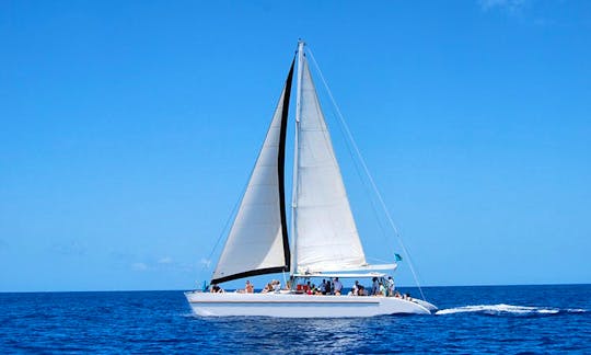 Day Sailing Tour in St. Lucia