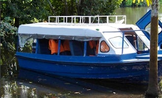 Guided Boat Trips on Amazon River, Peru