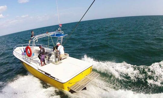 Parasail Flying Experience in Playa Blanca Beach, Panama