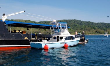 Have the Ultimate Fishing Adventure wit the 31' Sport Fisherman Charter in Veraguas, Panama