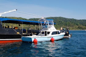 Have the Ultimate Fishing Adventure wit the 31' Sport Fisherman Charter in Veraguas, Panama