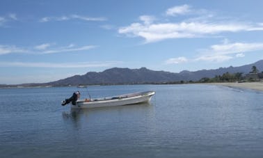 Experience Fishing in Nadi, Fiji with Captain Jo on Dinghy