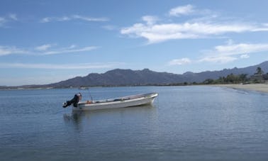 Experimente pescar em Nadi, Fiji com o Capitão Jo em um bote