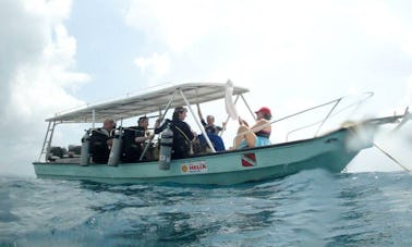 23' Super Panga Dive Boat Snorkeling Trips in Panama
