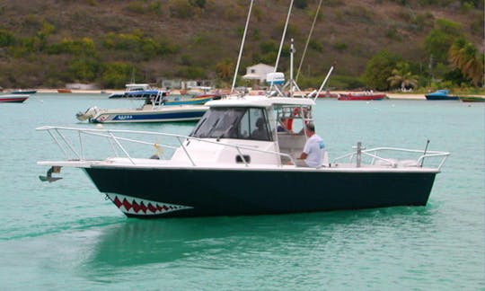 Diving Charter in The Valley, Anguilla