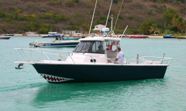 Diving Charter in The Valley, Anguilla