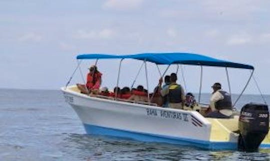 Experienced Guides for Full or Half Day Fishing Charter