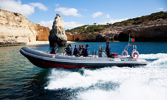 Excursions avec les dauphins et les grottes à Albufeira, Portugal