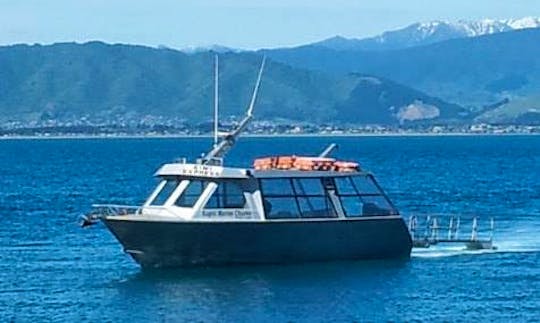Charter 36' Kiwi Express Purpose Built Jet Boat in Paraparaumu, New Zealand
