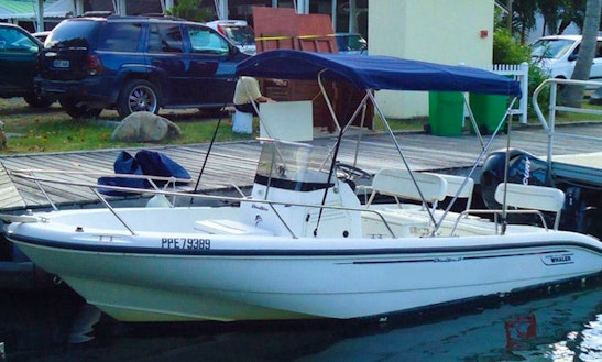 'babaou' Boat Charter In Collectivité De Saint-martin