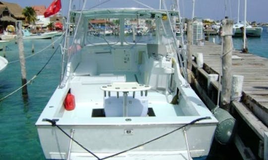 36' Sport Fisherman, Fishing Charter in Isla Mujeres, Mexico