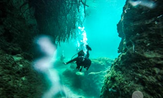 Discovery scuba diving in Cenotes and Ocean.