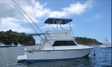 Increíble experiencia de pesca en Liberia, Costa Rica para 4 personas Sport Fisherman