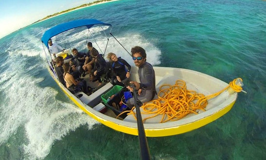 Discover Scuba Diving Tour For Non-certified Divers In Tulum, Mexico