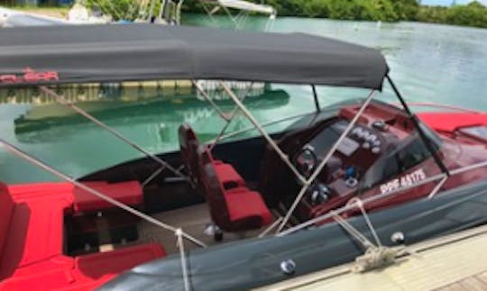 25ft "Sweet Love Libra" Rigid Hull Boat Rental In Pointe-à-Pitre, Guadeloupe