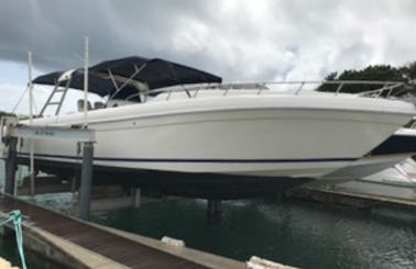 Charter 37ft "Nico" Motor Yacht In Pointe-à-Pitre, Guadeloupe
