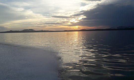 Tour ecológico no Golfo do Montijo com almoço de lagosta