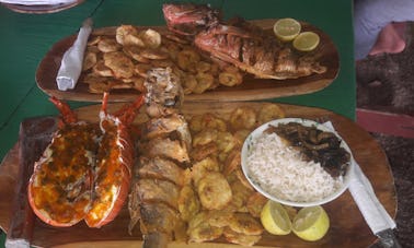 Tour ecológico en el Golfo de Montijo con almuerzo de langosta