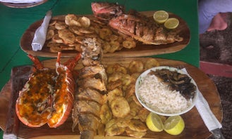 Eco Tour in Gulf of Montijo with Lobster Lunch