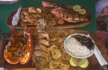 Eco Tour in Gulf of Montijo with Lobster Lunch