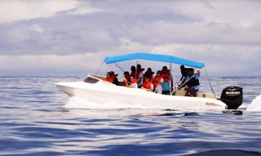 11 Person Fishing Tour From de Puntarenas, Costa Rica