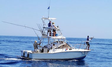 28ft "Touch and Go" Half Tower Fishing Yacht in Boca Chica, Bermuda
