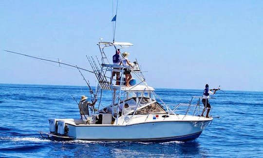 28ft "Touch and Go" Half Tower Fishing Yacht in Boca Chica, Bermuda