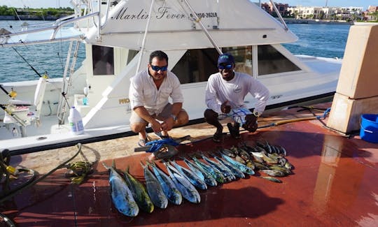 marlin fever offshore fishing punta cana