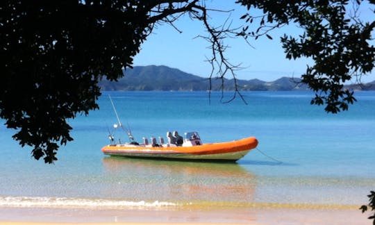 Alquile un bote inflable rígido en Opua, Nueva Zelanda