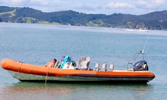 Alquile un bote inflable rígido en Opua, Nueva Zelanda