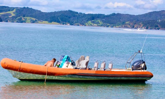 Charter a Rigid Inflatable Boat in Opua, New Zealand