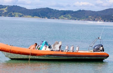 Charter a Rigid Inflatable Boat in Opua, New Zealand