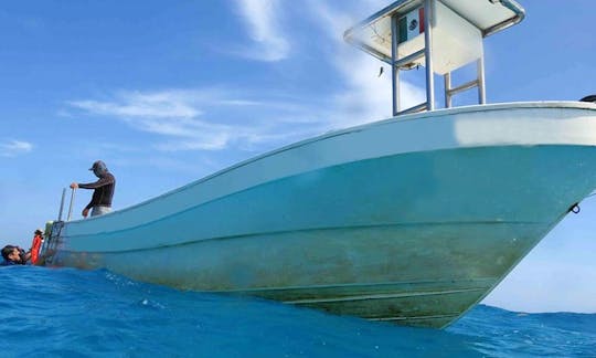 Boat Diving Tours and PADI Courses in Playa del Carmen, Mexico