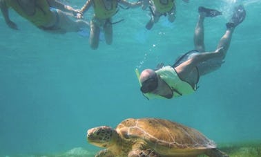 Excursão de mergulho com snorkel na cidade de Belize em nossos passeios!