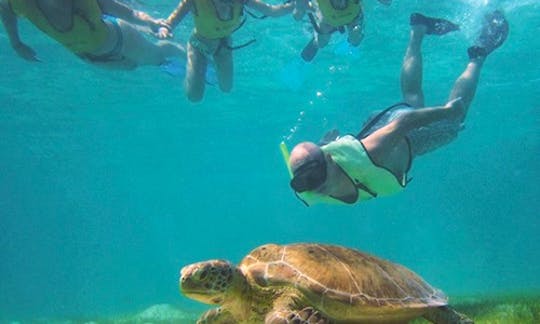 Snorkeling Excursion in Belize City on our Tours!
