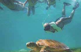 Snorkeling Excursion in Belize City on our Tours!