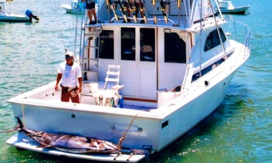 Fishing Charter Orion